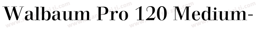 Walbaum Pro 120 Medium字体转换